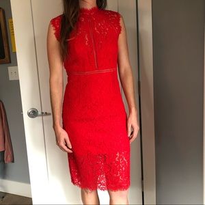 NWT Bardot Lace Panel Dress in “Lipstick”